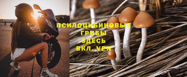 спайс Арсеньев