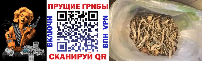 Купить где  Белоярский  Галлюциногенные грибы мухоморы 